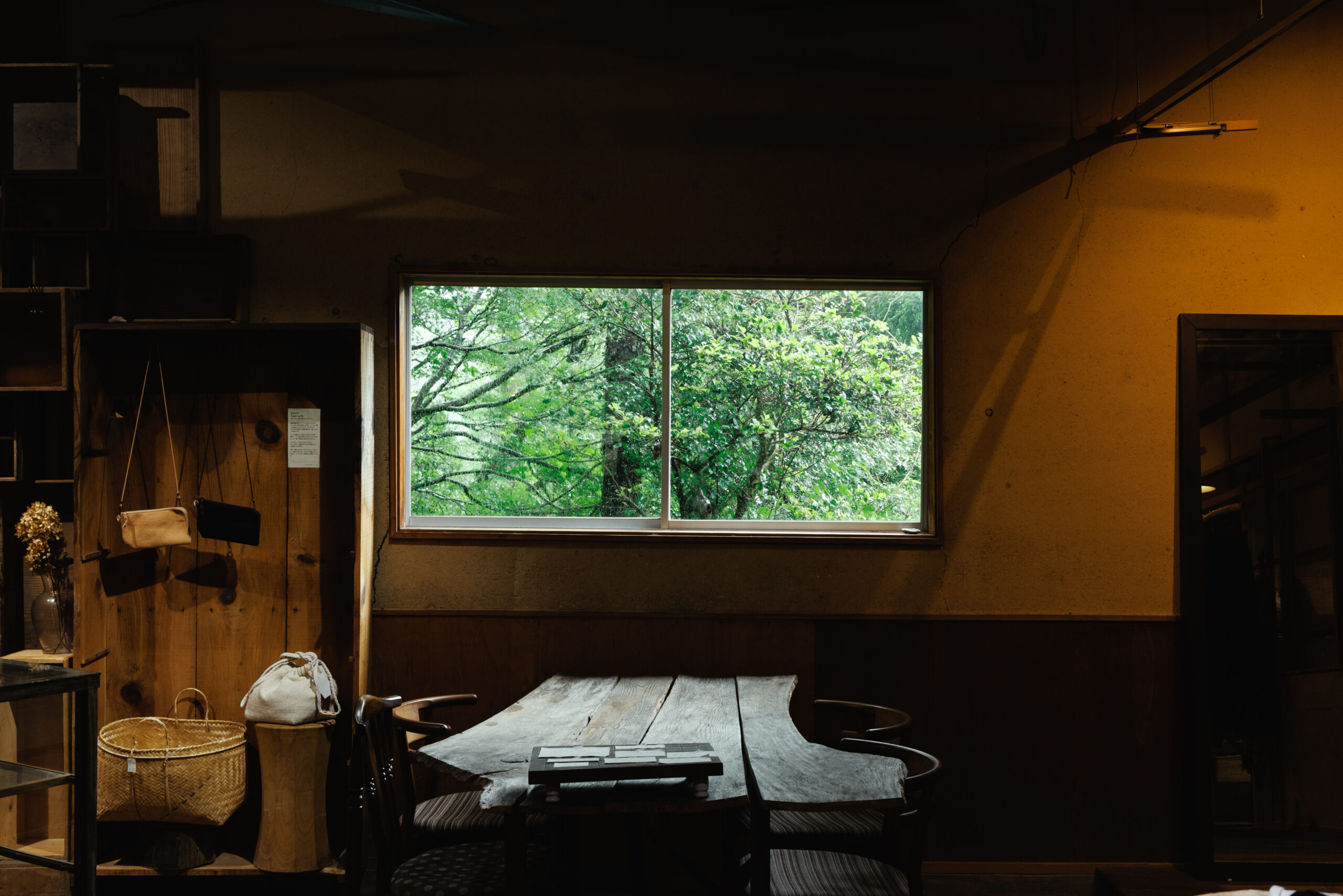 苔むす山道の先で、物語に出会うの写真(香川県小豆島町)